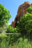 12-scenery_along_trail