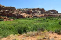 46-scenery_along_the_trail