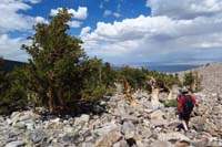 11-reached_the_ridgeline,now_to_find_the_stump