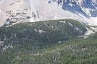 03-lots_of_very_old_bristlecones_mixed_in_that_outer_edge_of_trees