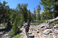 06-hiking_along_the_trail