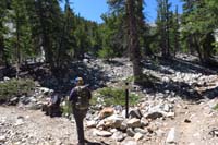 08-trail_junction-lakes_to_right,glacier_to_left-we_go_left