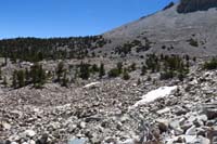 14-lots_of_very_old_bristlecones_mixed_in_outer_tree_edge-Prometheus_Stump_about_.3_miles_ahead