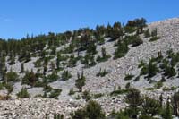 44-route_to_Prometheus_Stump_about_.3_miles_away-family_not_interested_in_visiting-Daddy_sad