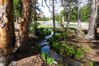 60-stream_feeds_into_Teresa_Lake
