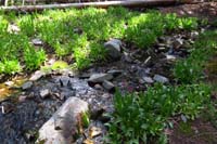 62-stream_feeding_into_Teresa_Lake