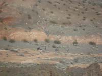 72-group_.6_miles_away_at_main_wash