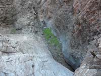 53-looking_back_at_class_4_wall_to_climb-tough_chock_stone_I_climbed_under_after_greenery