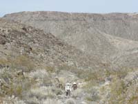 03-Baba_and_Poppy_hiking_up_another_drainage