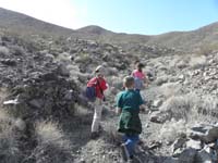 13-Kenny,Lawrence,Maia_heading_towards_peak-they_all_want_to_be_the_leader