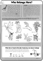 60-Junior_Ranger_Program_for_Lake_Mead_NRA06
