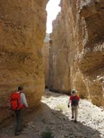 67-tall_walls-very_easy_walking