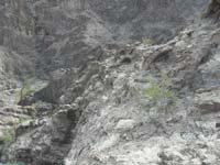 51-1155-I'm_heading_that_way_to_check_out_scrambling_route_down-Kay_stayed-Laszlo_went_higher