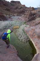 22-Kenny_checks_out_the_puddle_and_neat_desert_scenery