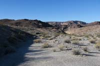 03-lots_of_people_take_White_Rock_Canyon_to_river_to_right,we'll_take_trail_to_left