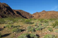 01-heading_to_Sheepbone_Cyn-first_drove_up_a_dirt_road_for_a_little_ways