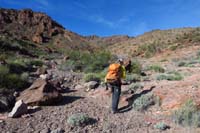 16-pleasant_open_canyon_with_pretty_desert_mountain_scenery