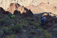 76-group_descending