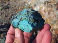 06-chrysocolla-took_a_sample_rock_since_I'm_coaching_rock_hound_for_son's_Science_Olympiad_team_for_school