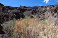 57-amazing_scenery_while_traveling_through_riparian_area