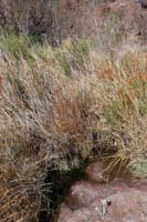 58-we_really_enjoyed_visiting_this_natural_spring