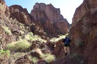 56-backtracked_140_feet-heading_up_drainage_to_south-1140am,35_minutes_up_canyon