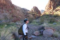 08-Ed_providing_insight