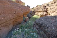 10-scenic_small_slot_canyon,watch_out_for_the_rock_nettle-velcro_bush