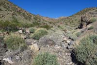 11-approaching_fork_in_wash,turned_left_up_wash,then_up_ridge-came_down_ridge_ahead