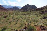 09-very_green_spring_desert,follow_old_trail_to_road_towards_left