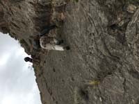 25-walking_up_steep_frictional_slabs