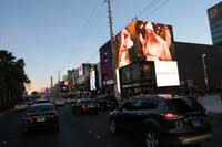 079-lots_of_shopping_opportunities