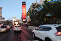 106-passing_by_The_Flamingo