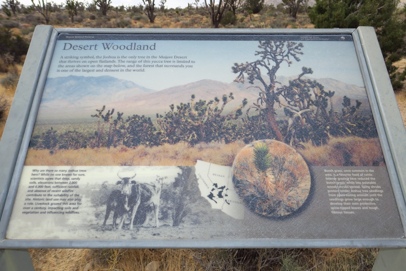 03-interpretive_signs_at_trailhead