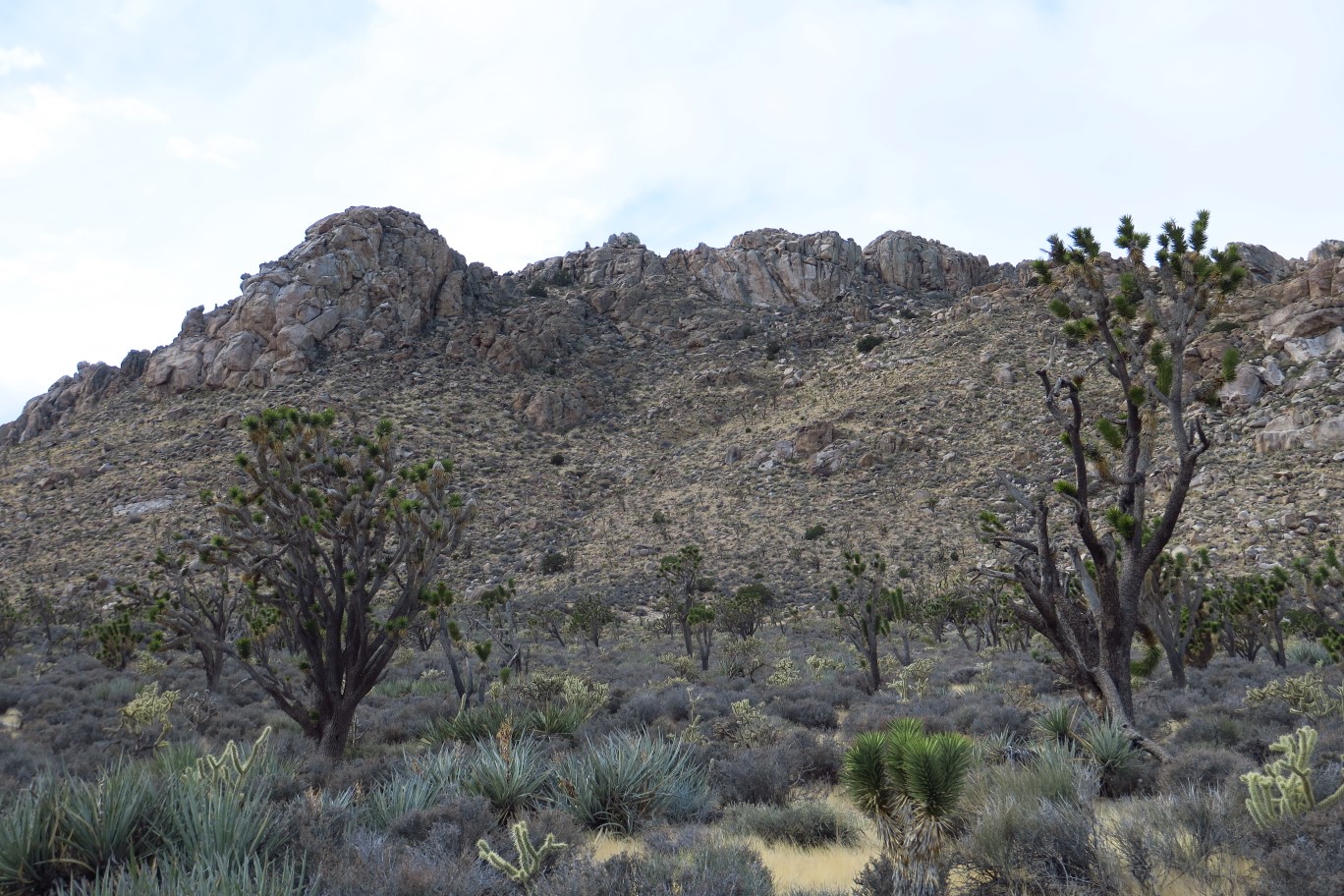35-looking_back_to_Teutonia_Peak