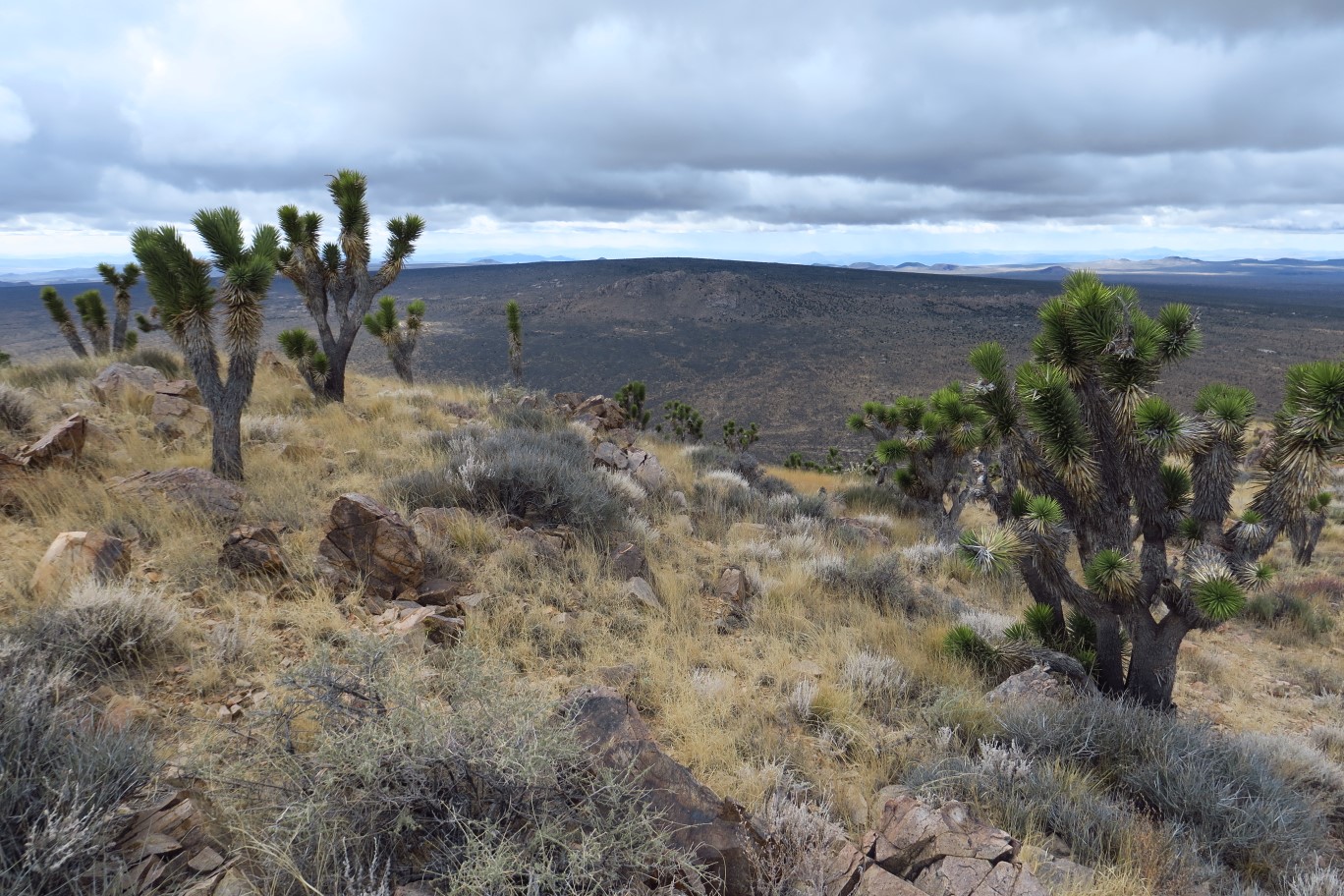 49-scenic_view_from_peak-looking_W-Teutonia_Peak