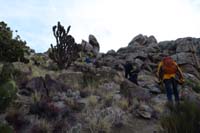 06-group_on_the_trail