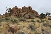 40-pretty_desert_scenery_along_the_way