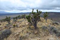 48-scenic_view_from_peak-looking_SW