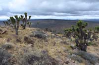 49-scenic_view_from_peak-looking_W-Teutonia_Peak