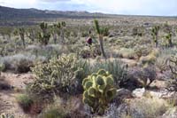64-traipsing_through_the_desert
