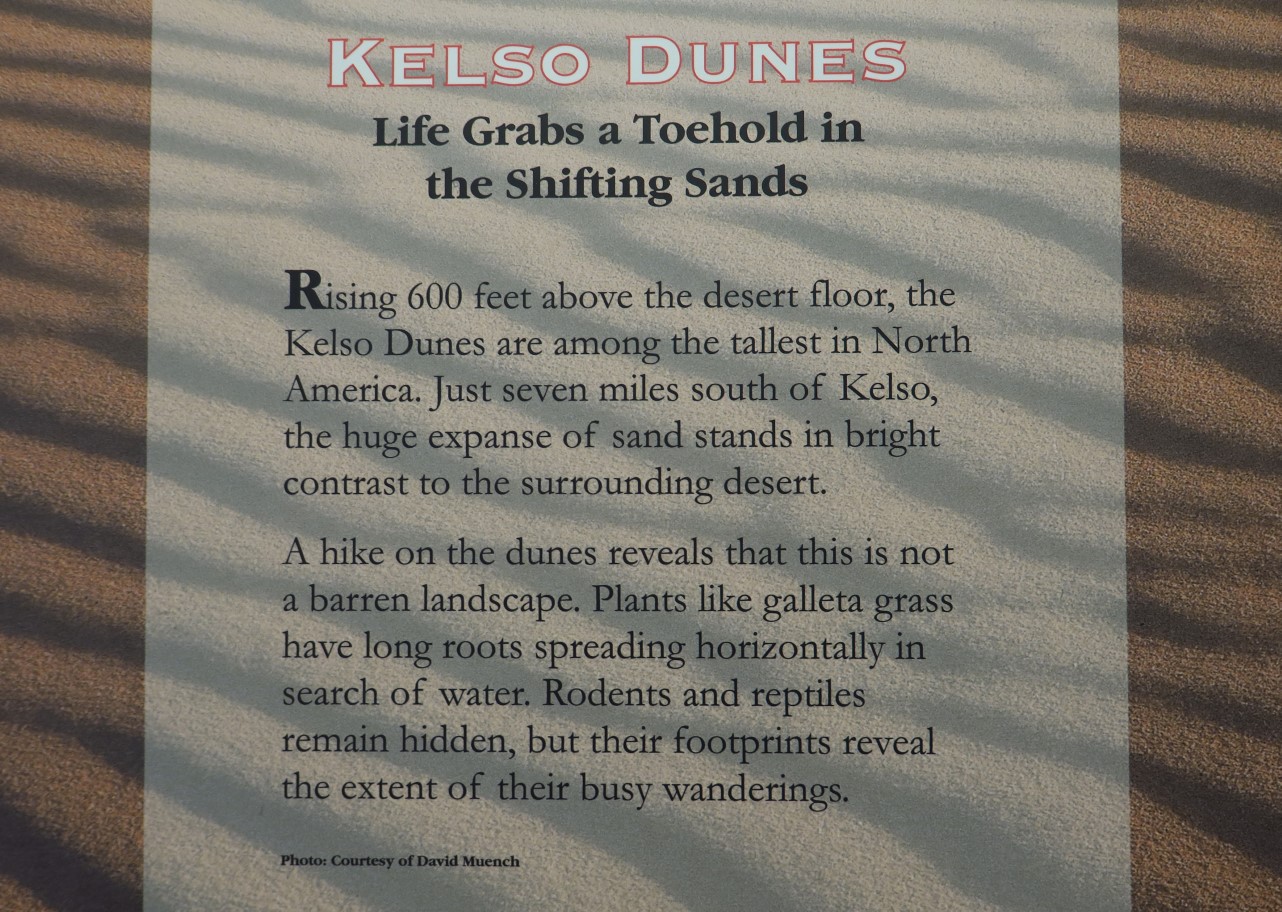 01-Kelso_Dunes_info