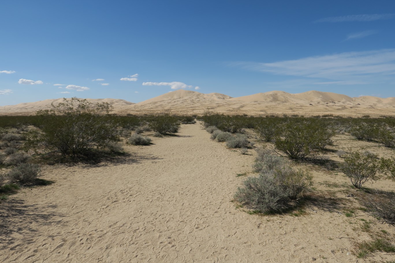 05-Kelso_Dunes,highpoint_destination_ahead