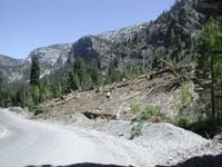43-avalanche_damage_near_main_road_before_turnoff_to_parking_lot-that_is_snow_mixed_with_trees