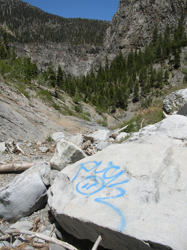 13-graffiti_at_Big_Falls