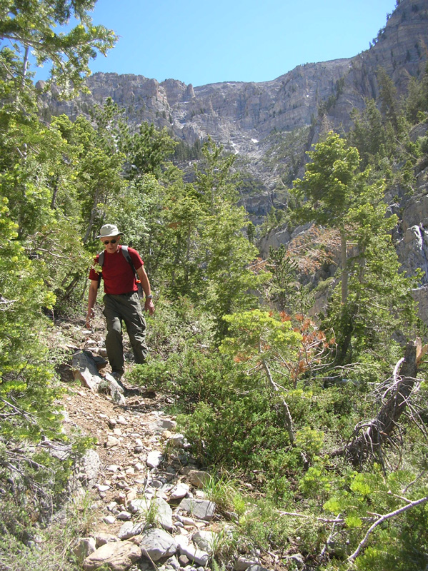 71-Dad_hiking_through_woods