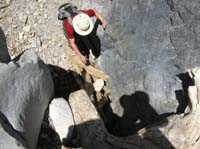 04-Dad_climbing_up_the_tree_branches