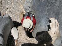 05-Dad_climbing_up_the_tree_branches