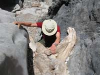 06-Dad_climbing_up_the_tree_branches