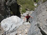 07-Dad_climbed_the_tree_branches